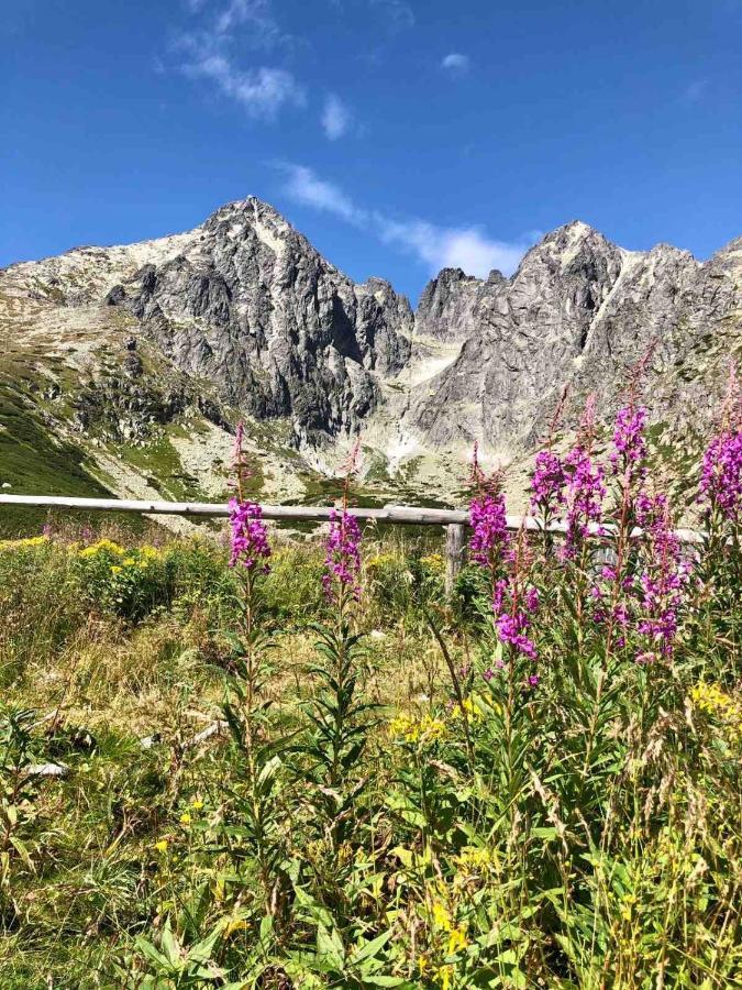 Apartmán Lesníček Stará Lesná Esterno foto